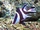 Emperor Red Snapper
