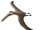 Brasileodactylus