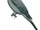 North Melanesian Cuckooshrike