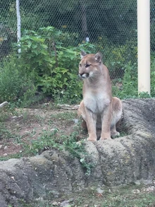 14344845 760039770802969 8160159905640403290 n