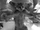 Otto's Sportive Lemur