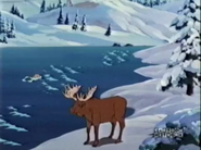 CPatP Moose