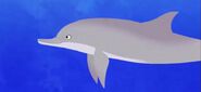 BottlenoseDolphin (Wild Kratts)