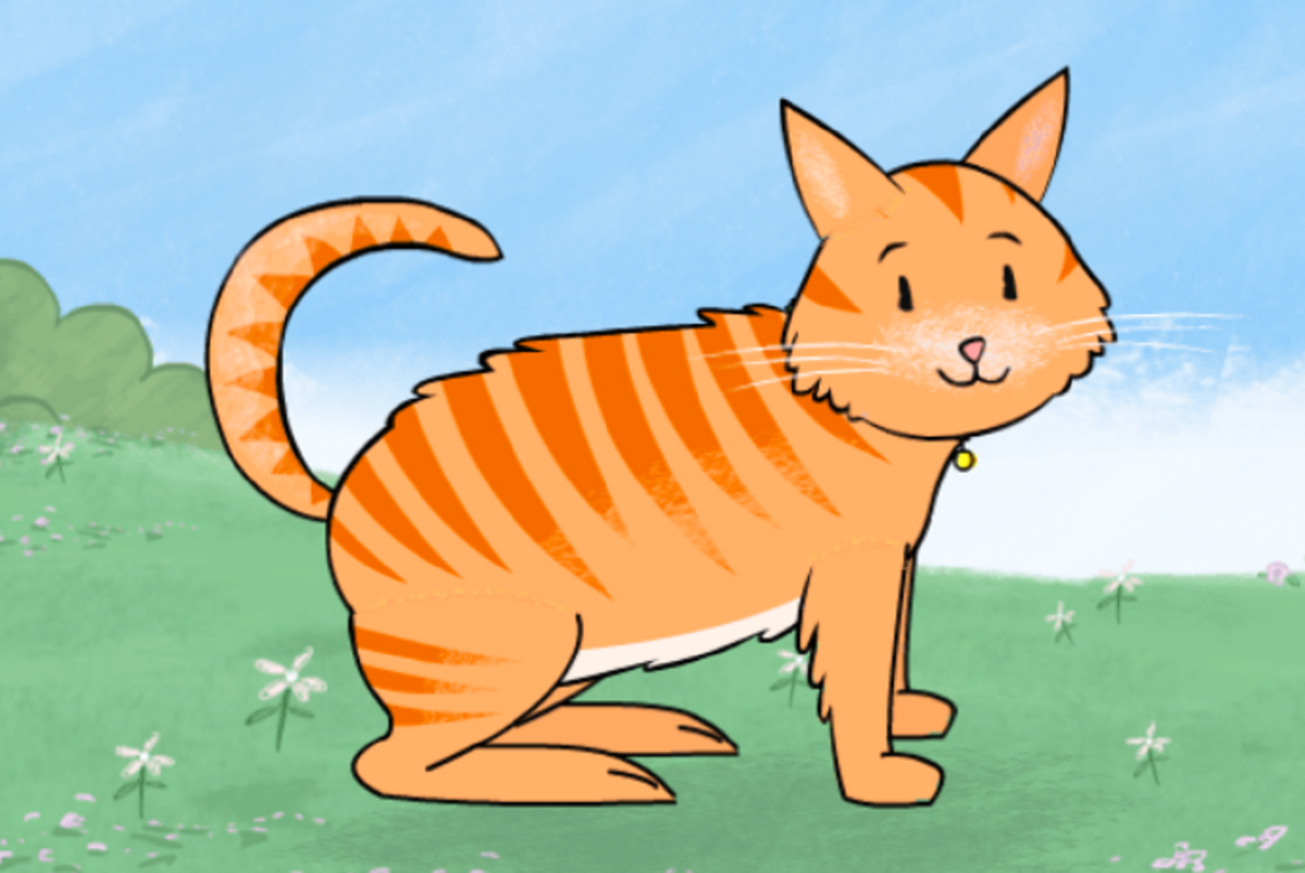 Domestic Cat Animals Wiki Fandom how-sensitive-is-a-cat-s-sense-of-taste-michael-broad