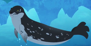 Wild Kratts Leopard Seal