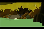 List of Species in Wild Kratts | Animals Wiki | Fandom
