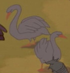 Fantasia 2000 Swans