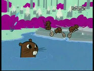 PPG Beavers