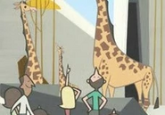 Giraffe