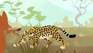List of Species in Wild Kratts | Animals Wiki | Fandom