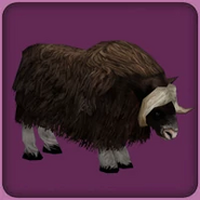 Musk ox (Blue Fang)