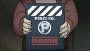 Pesci Co classified secret files