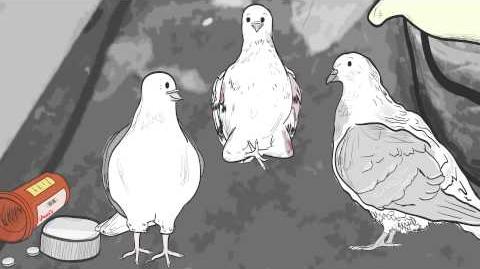 Animals. "Pigeons