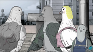 PigeonMeet