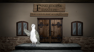 FinkledoinkFeinstein Public Accountants