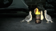 CampfirePigeons