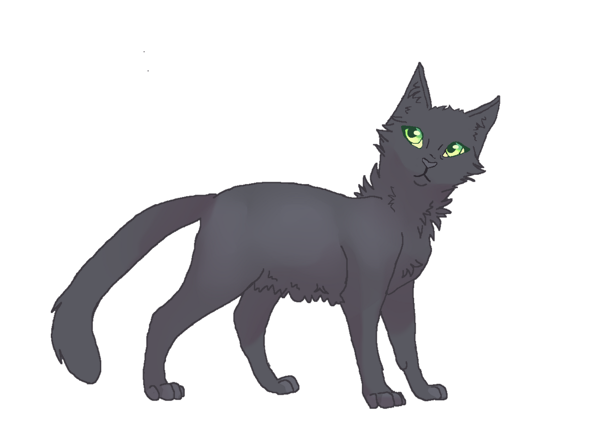 Терновник коты воители