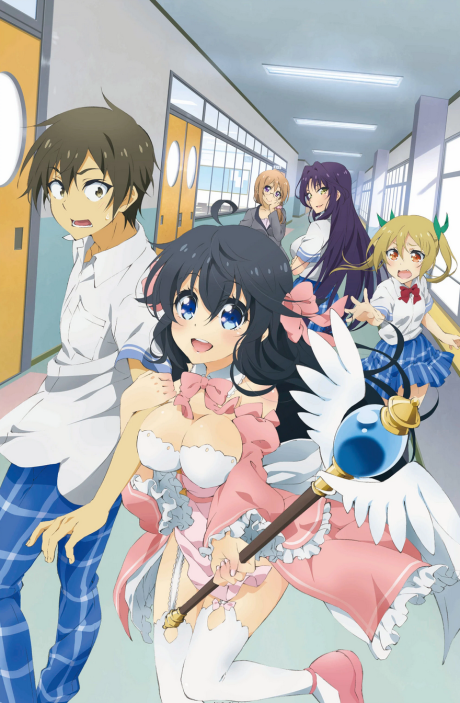 Harem/Ecchi, Animanga Democracy Wiki