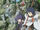 Log Horizon