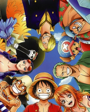 One Piece Animanga Democracy Wiki Fandom