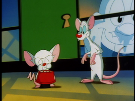 Thumbnailhuluanimaniacs09