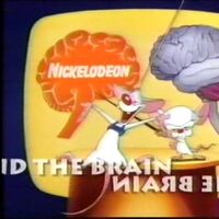 Nickelodeon Animaniacs Wiki Fandom Pinky, the brain (c) warner bros/amblin entertainment = notice: nickelodeon animaniacs wiki fandom