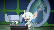 Brain in the Animaniacs reboot.