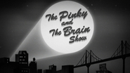 "The Pinky and the Brain Show" title