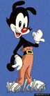 653342-yakko