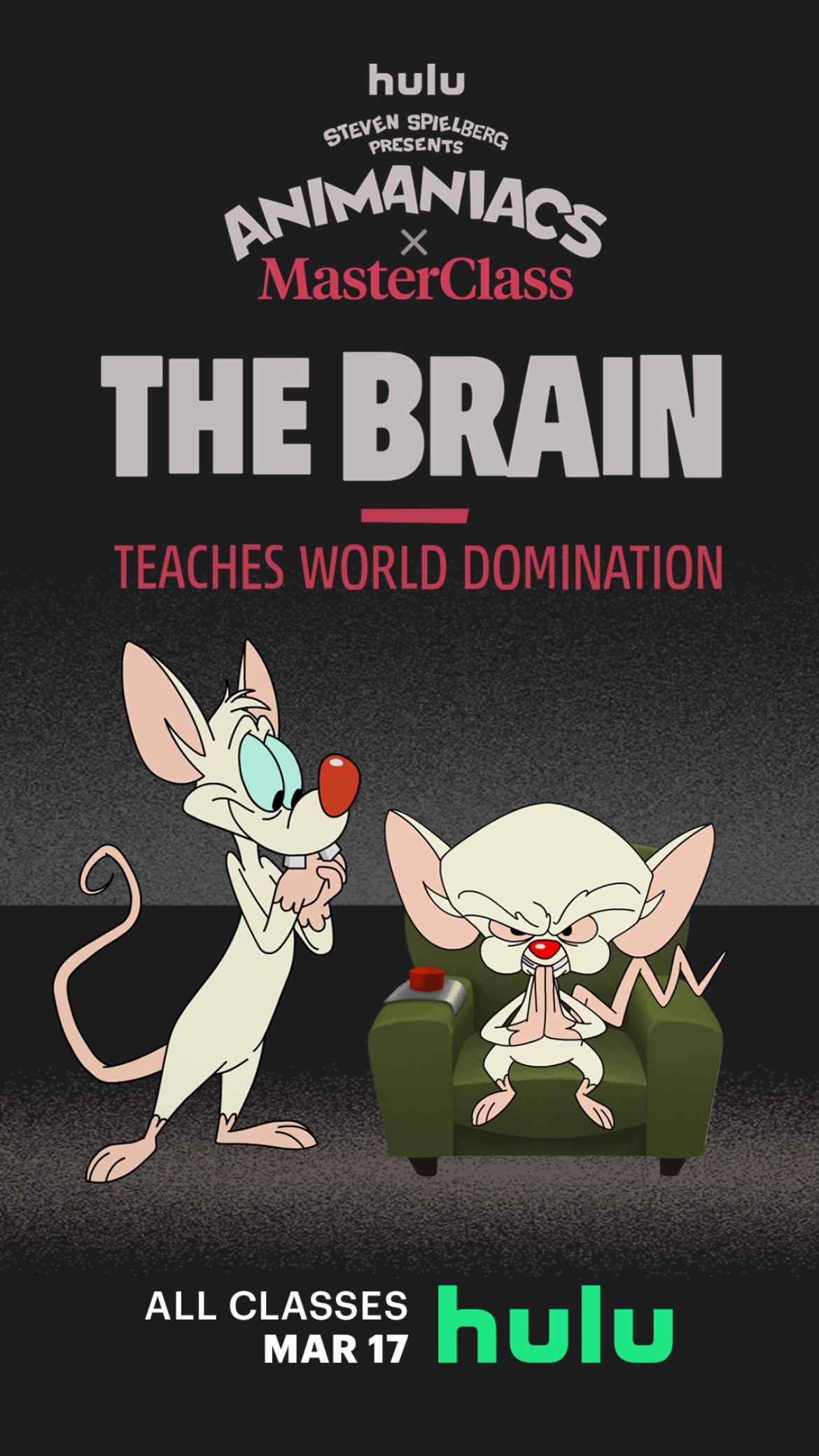 Снова brain. Пинки и Брейн. Animaniacs Hulu. Teacher Brain Breaks.