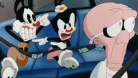 Dot And Yakko Bickering1