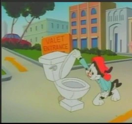 EMERGENCIA SANITARIA