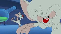 How to watch and stream Pinky & the Brain - 1995-2001 on Roku