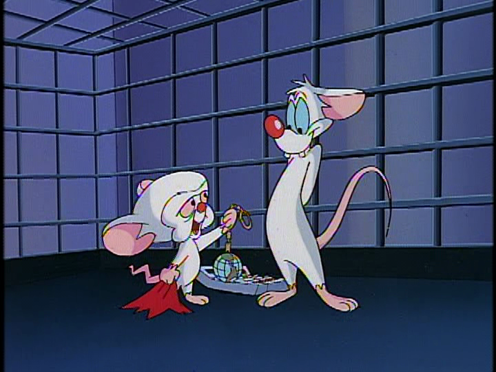 Pinky Giving Brain