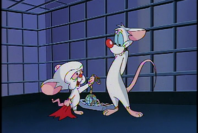 Rediscover TV's Lost Holiday Classics, From 'Animaniacs' to 'Ziggy