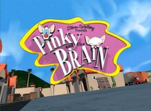 Pinky and the Brain on Kids' WB! (1997-99)