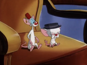 Fez and Porkpie