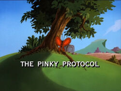 Pinky Protocol title
