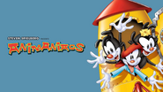 Banner cover.