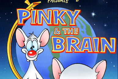 The Pinky and the Brain effect and 4 other organization types