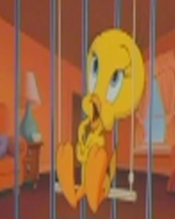 Piolin Animaniacs Wiki Fandom Dibujos animados tom y jerry, personajes de dibujos animados clásicos, fondo de pantalla de dibujos animados, dibujos kawaii, animales bebes. piolin animaniacs wiki fandom