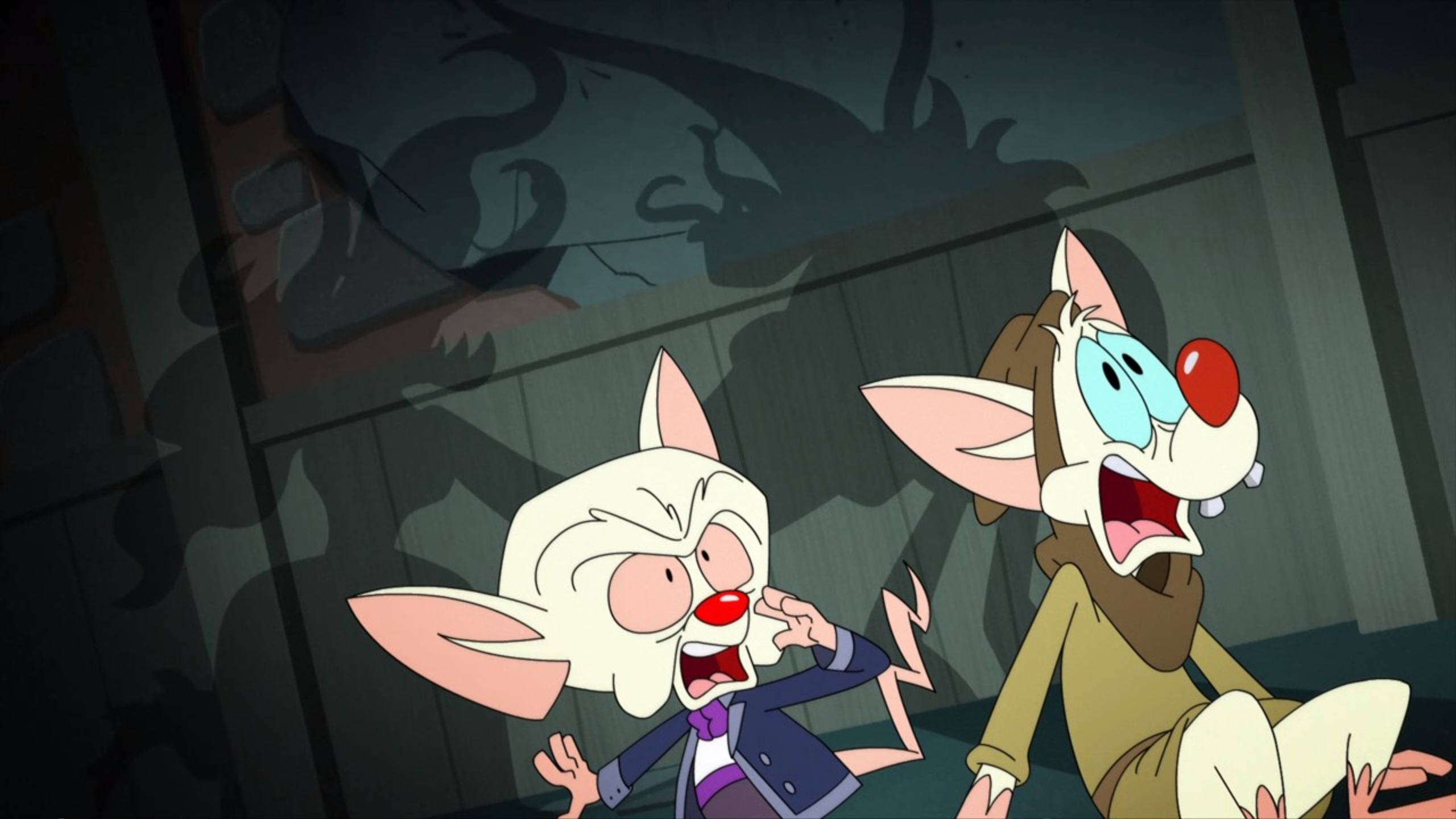 Pinky and the Brain S3E4 - Pinky & the Brain…and Larry - video Dailymotion