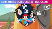 Thumbnail for the NYCC 2020 Animaniacs Panel stream.