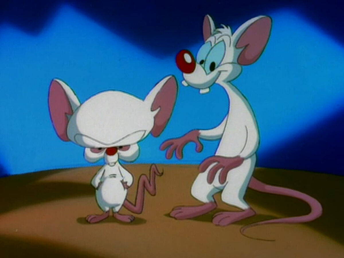 pinky and the brain