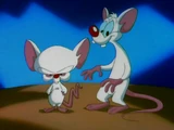 Pinky and the Brain (segment)