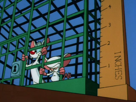 1993 (TMS)
