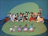 Pinky and the Brain with the entire cast.