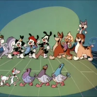 Theme Song Animaniacs Wiki Fandom Anime lyrics, jpop lyrics, video game lyrics from over 2500 songs. theme song animaniacs wiki fandom