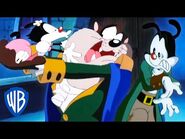 Animaniacs - Dot Finds Love - Classic Cartoon - WB Kids