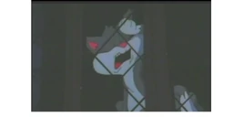 La canción de no te sientas mal,Runt